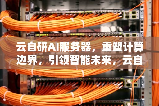 云自研AI服务器，重塑计算边界，引领智能未来，云自研ai服务器怎么样