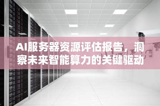 AI服务器资源评估报告，洞察未来智能算力的关键驱动力，ai服务器资源评估报告怎么写