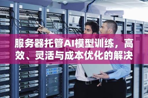 服务器托管AI模型训练，高效、灵活与成本优化的解决之道，服务器托管ai模型训练