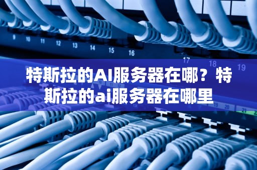 特斯拉的AI服务器在哪？特斯拉的ai服务器在哪里