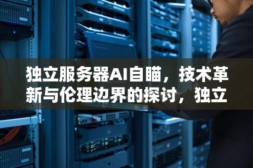 独立服务器AI自瞄，技术革新与伦理边界的探讨，独立服务器ai自瞄怎么用
