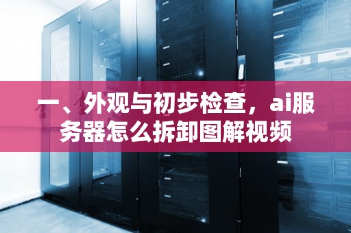 一、外观与初步检查，ai服务器怎么拆卸图解视频