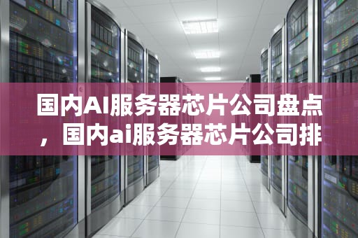 国内AI服务器芯片公司盘点，国内ai服务器芯片公司排名