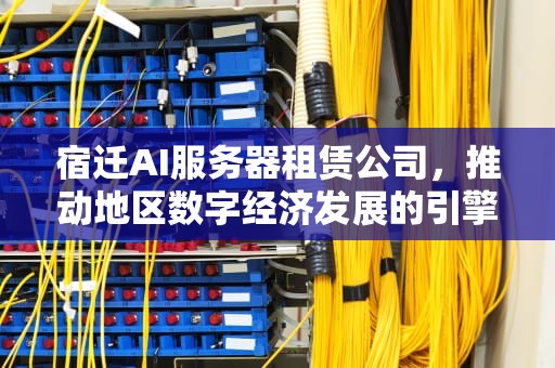 宿迁AI服务器租赁公司，推动地区数字经济发展的引擎，宿迁ai服务器租赁公司地址
