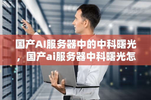 国产AI服务器中的中科曙光，国产ai服务器中科曙光怎么样