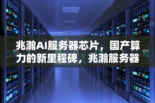 兆瀚AI服务器芯片，国产算力的新里程碑，兆瀚服务器测评