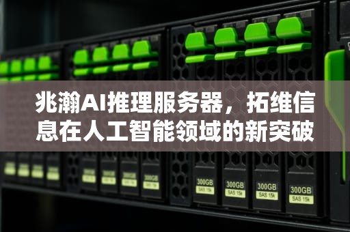 兆瀚AI推理服务器，拓维信息在人工智能领域的新突破，拓维信息ai推理服务器怎么用
