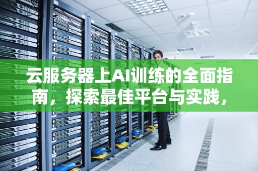云服务器上AI训练的全面指南，探索最佳平台与实践，云服务器ai训练在哪里打开