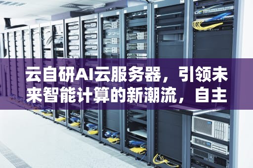 云自研AI云服务器，引领未来智能计算的新潮流，自主云服务器