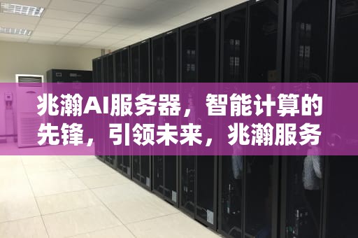 兆瀚AI服务器，智能计算的先锋，引领未来，兆瀚服务器测评
