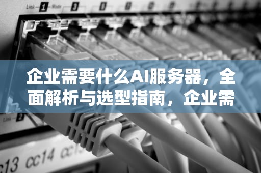 企业需要什么AI服务器，全面解析与选型指南，企业需要什么ai服务器