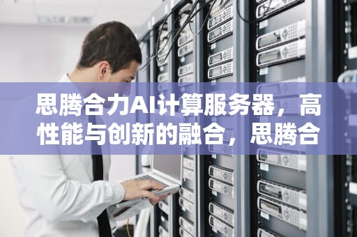 思腾合力AI计算服务器，高性能与创新的融合，思腾合力ai计算服务器怎么用