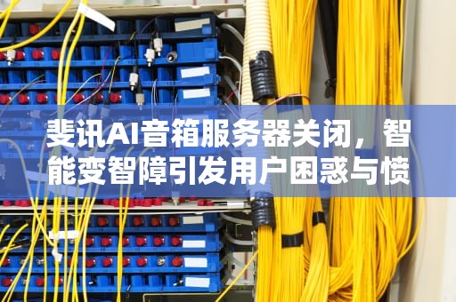 斐讯AI音箱服务器关闭，智能变智障引发用户困惑与愤怒，斐讯ai音箱服务器关闭怎么打开