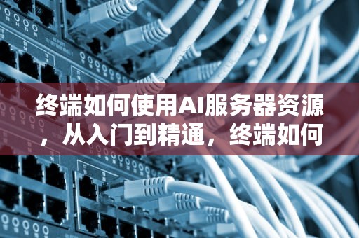 终端如何使用AI服务器资源，从入门到精通，终端如何使用ai服务器资源