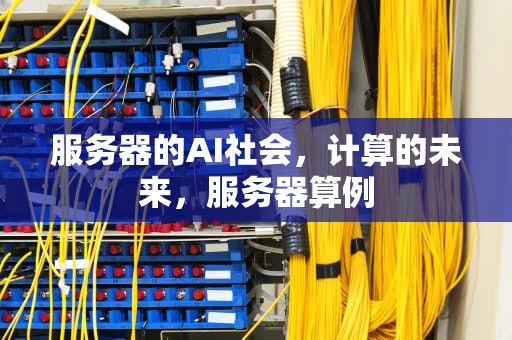 服务器的AI社会，计算的未来，服务器算例