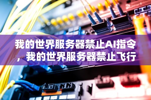 我的世界服务器禁止AI指令，我的世界服务器禁止飞行怎么关