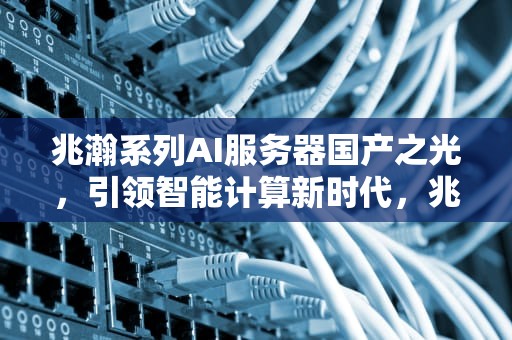 兆瀚系列AI服务器国产之光，引领智能计算新时代，兆瀚服务器测评