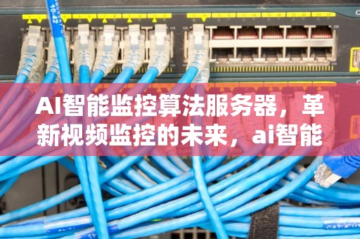 AI智能监控算法服务器，革新视频监控的未来，ai智能监控算法服务器是什么