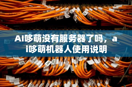 AI哆萌没有服务器了吗，ai哆萌机器人使用说明