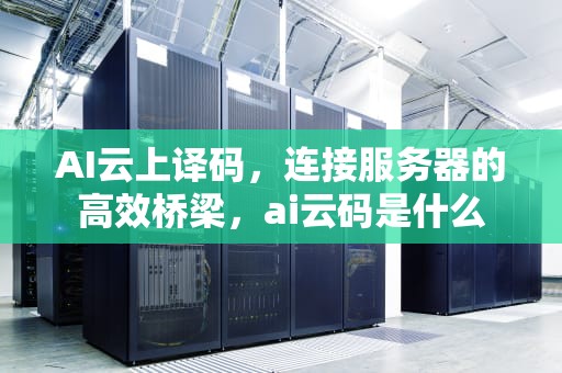 AI云上译码，连接服务器的高效桥梁，ai云码是什么