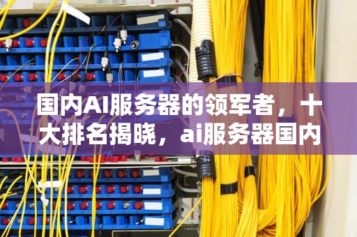 国内AI服务器的领军者，十大排名揭晓，ai服务器国内排名前十品牌