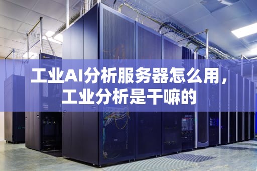 工业AI分析服务器怎么用，工业分析是干嘛的