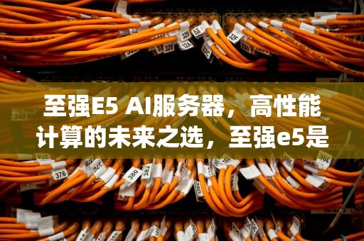 至强E5 AI服务器，高性能计算的未来之选，至强e5是服务器cpu吗