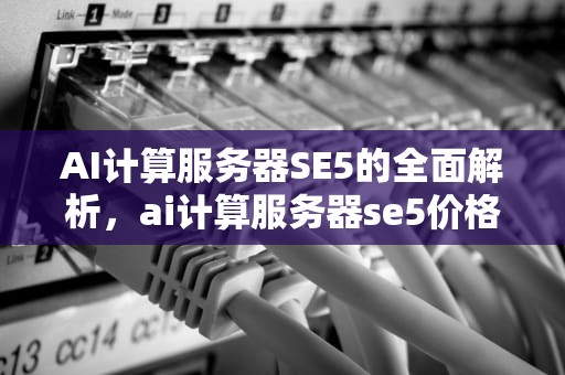 AI计算服务器SE5的全面解析，ai计算服务器se5价格