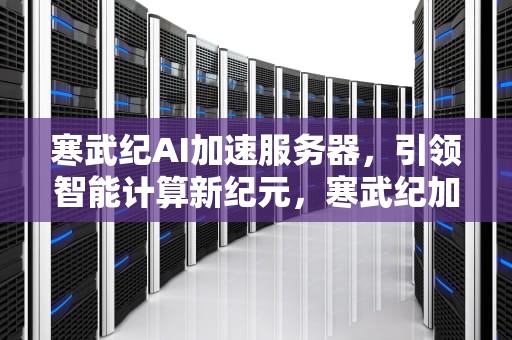 寒武纪AI加速服务器，引领智能计算新纪元，寒武纪加速卡价格