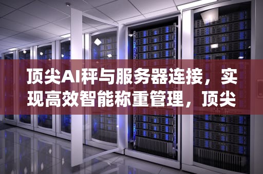 顶尖AI秤与服务器连接，实现高效智能称重管理，顶尖秤设置ip