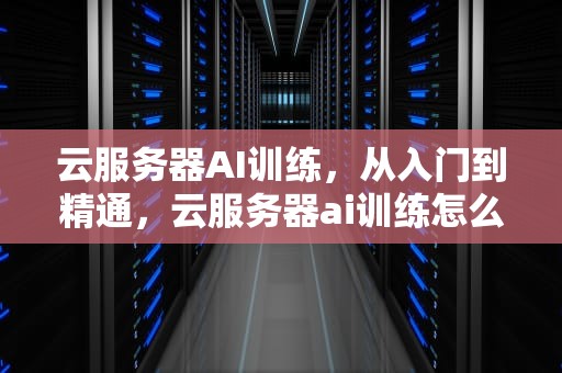云服务器AI训练，从入门到精通，云服务器ai训练怎么用的