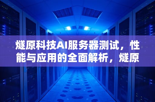 燧原科技AI服务器测试，性能与应用的全面解析，燧原科技 asic