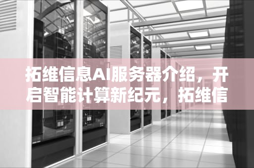 拓维信息AI服务器介绍，开启智能计算新纪元，拓维信息vr