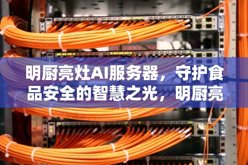 明厨亮灶AI服务器，守护食品安全的智慧之光，明厨亮灶平台接入