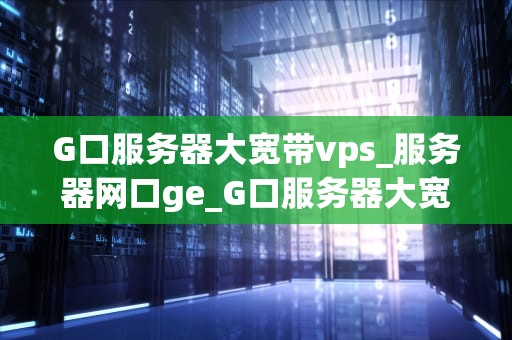 G口服务器大宽带vps_服务器网口ge_G口服务器大宽带VPS的优势与应用
