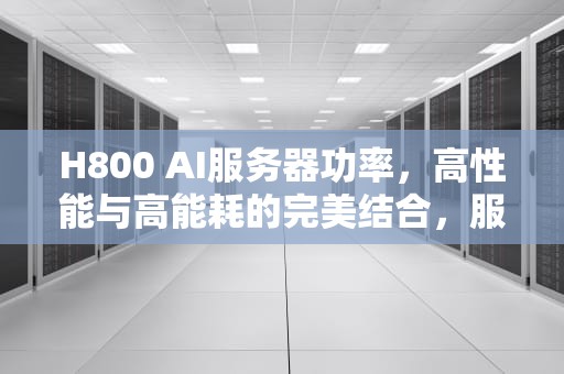 H800 AI服务器功率，高性能与高能耗的完美结合，服务器8500r