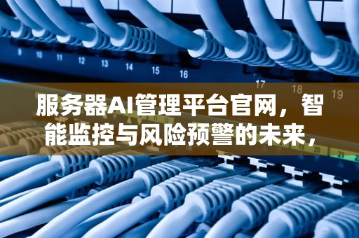 服务器AI管理平台官网，智能监控与风险预警的未来，服务器ai管理平台官网