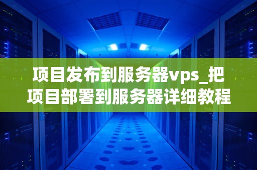 项目发布到服务器vps_把项目部署到服务器详细教程_将项目发布到服务器VPS的全面指南
