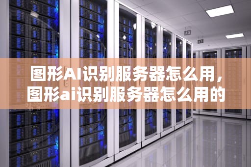 图形AI识别服务器怎么用，图形ai识别服务器怎么用的