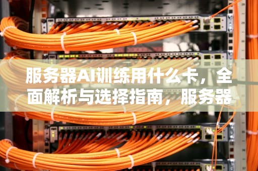 服务器AI训练用什么卡，全面解析与选择指南，服务器ai训练用什么卡好