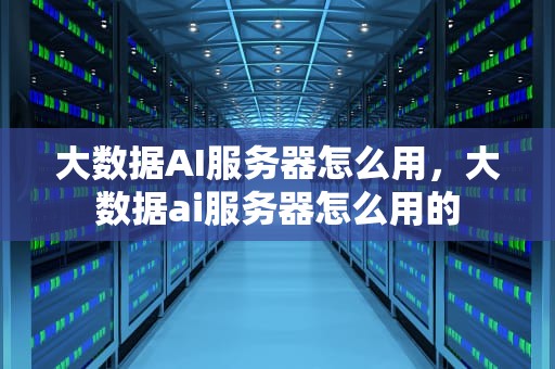 大数据AI服务器怎么用，大数据ai服务器怎么用的