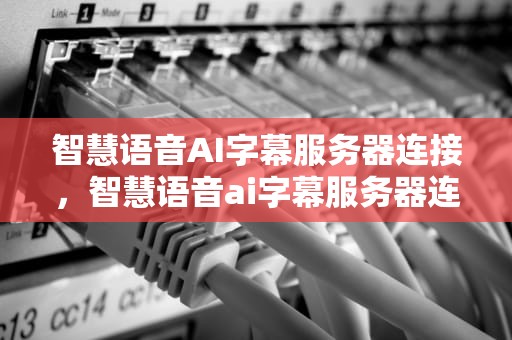 智慧语音AI字幕服务器连接，智慧语音ai字幕服务器连接失败