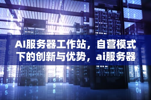 AI服务器工作站，自营模式下的创新与优势，ai服务器价格