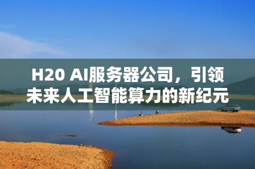 H20 AI服务器公司，引领未来人工智能算力的新纪元，h22h-03服务器配置