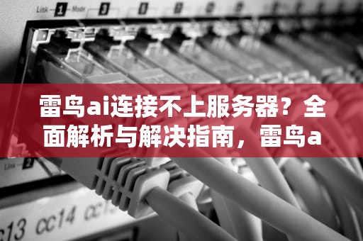 雷鸟ai连接不上服务器？全面解析与解决指南，雷鸟ai连接不上服务器怎么办