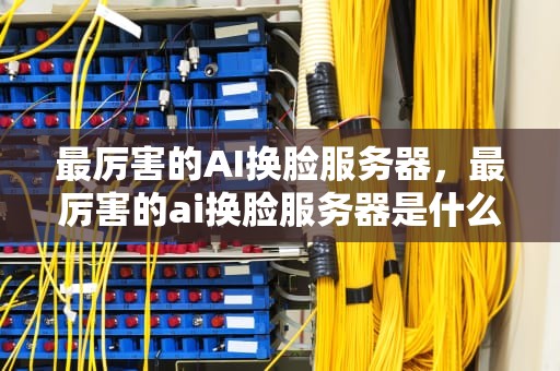 最厉害的AI换脸服务器，最厉害的ai换脸服务器是什么
