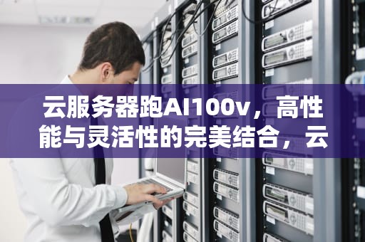 云服务器跑AI100v，高性能与灵活性的完美结合，云服务器跑代码