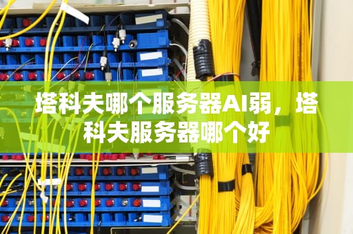 塔科夫哪个服务器AI弱，塔科夫服务器哪个好