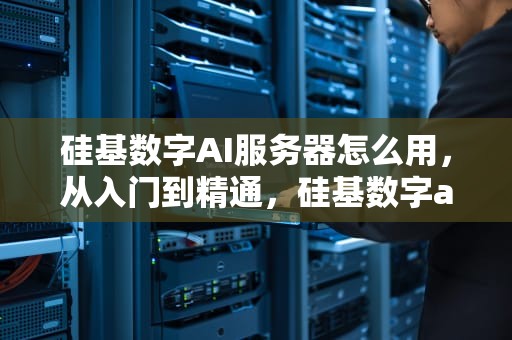 硅基数字AI服务器怎么用，从入门到精通，硅基数字ai服务器怎么用的