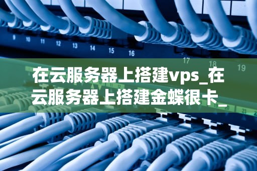 在云服务器上搭建vps_在云服务器上搭建金蝶很卡_在云服务器上搭建VPS的详细指南